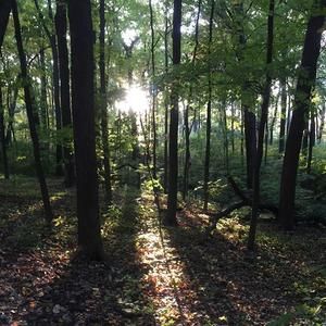 Meet your Posher, Margaret